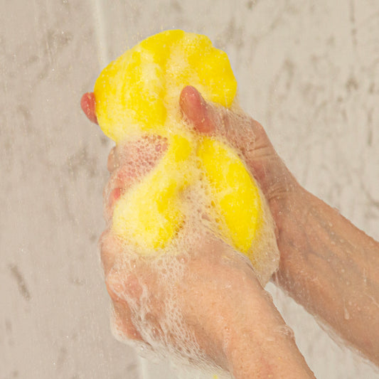 Lemon Sherbet Exfoliating Soap Sponge