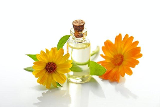 Summer Scents