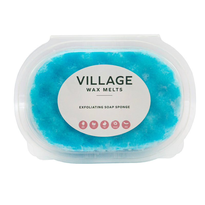 Invictus (For Him) Exfoliating Soap Sponge