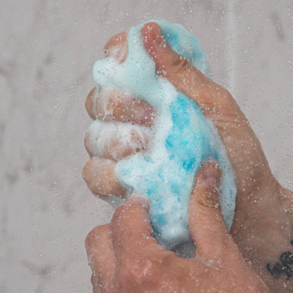 Invictus (For Him) Exfoliating Soap Sponge