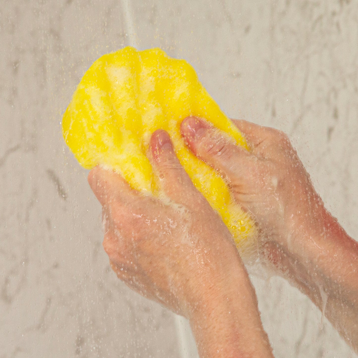 Lemon Sherbet Exfoliating Soap Sponge