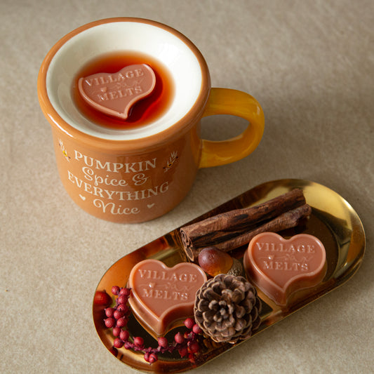 Vintage Bookstore Wax Melts